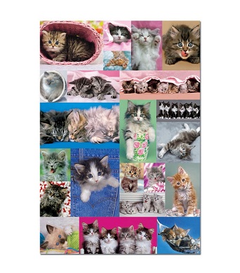 Educa Jigsaw Puzzle - Kitten Collage - 1000 pieces